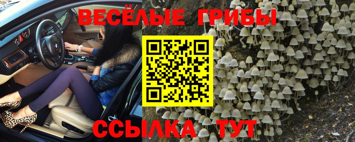 Псилоцибиновые грибы GOLDEN TEACHER  Галлюциногенные грибы прущие грибы  Вход с VPN  Мелеуз 